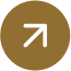 Arrow Icon